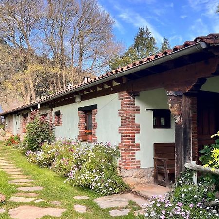 Los Acebos De Pena Cabarga, Cupula Experiencias Sobremazas エクステリア 写真