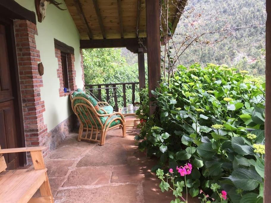 Los Acebos De Pena Cabarga, Cupula Experiencias Sobremazas エクステリア 写真
